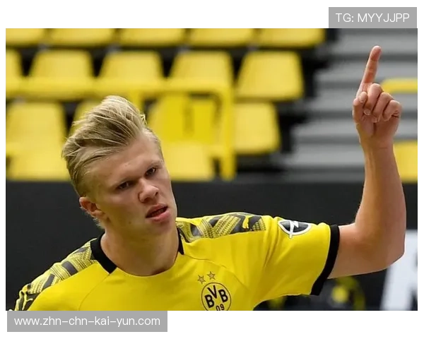 多特哈兰德禁区内强力推射让对手防不胜防